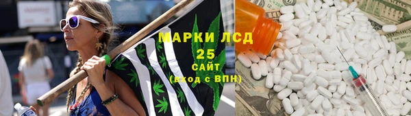 мдпв Карпинск