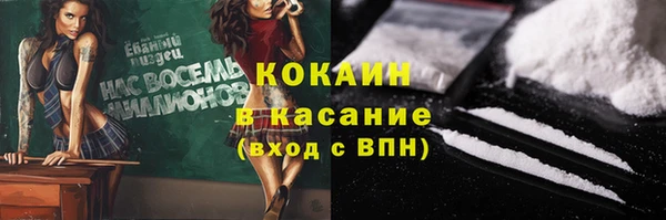 тгк Каменка