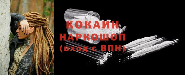 стаф Инта