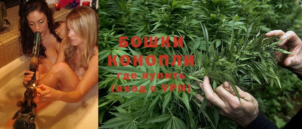 тгк Каменка