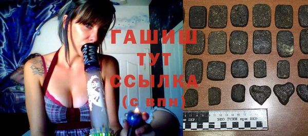 тгк Каменка