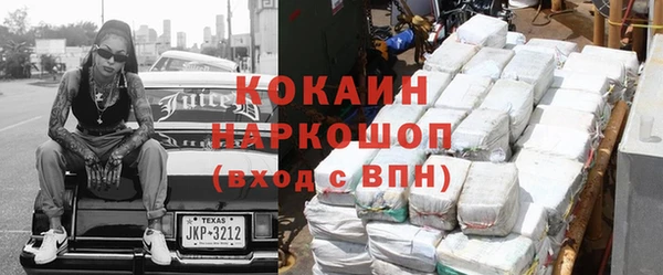 мдпв Карпинск
