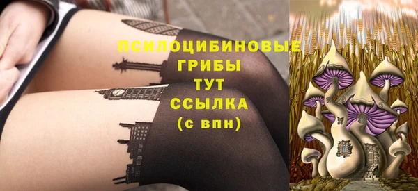 синтетический гашиш Каменногорск