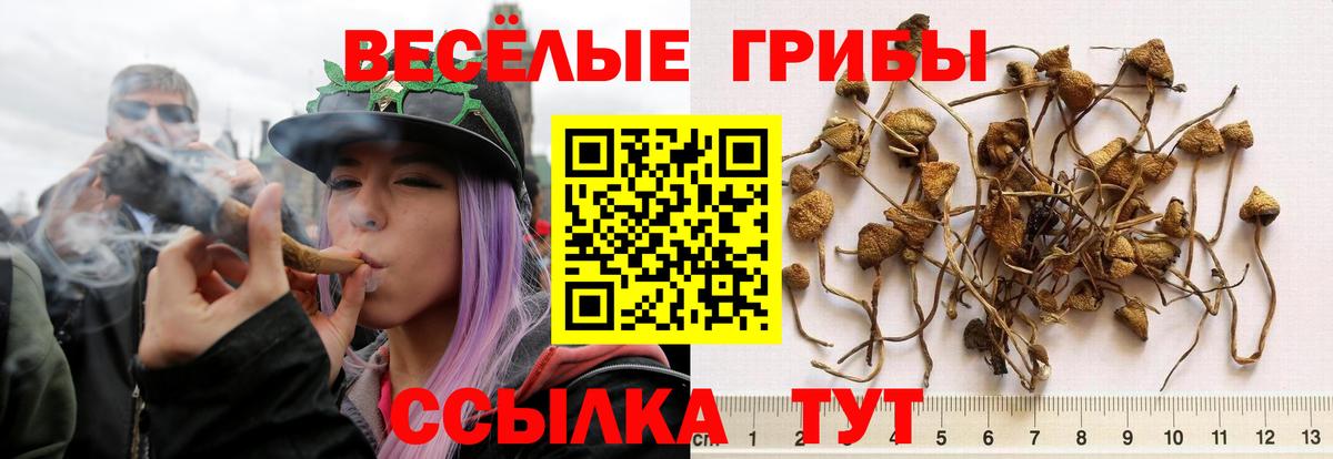 Галлюциногенные грибы Magic Shrooms Мариинск