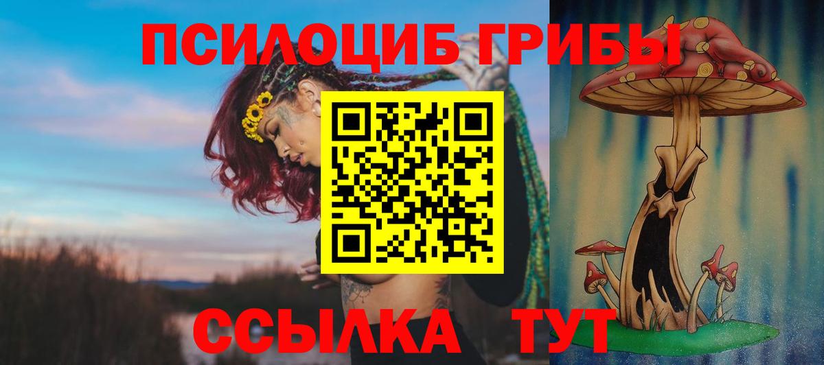 Мариинск  Галлюциногенные грибы Psilocybine cubensis  Вход с VPN 